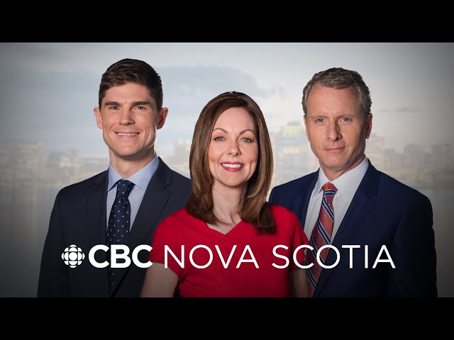 CBC Nova Scotia News Nov. 21, 2024 | GST break