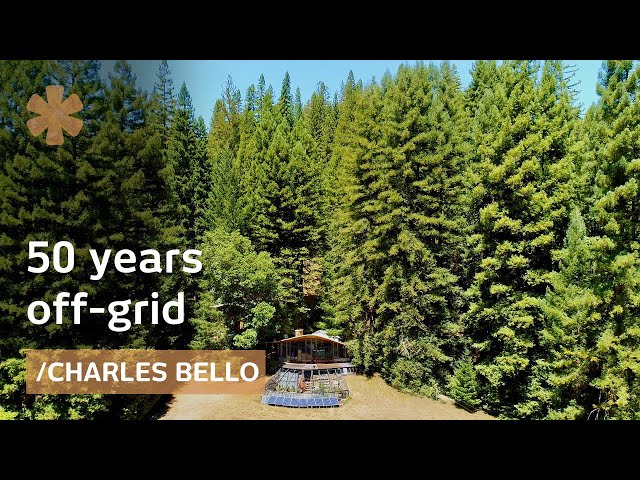 50 years off-grid: architect-maker paradise amid NorCal redwoods