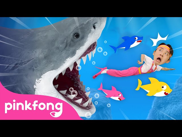 😱 Run Away from the Sharks! | Animal Song | Hoi's Playground | Pinkfong Baby Shark Kids Song