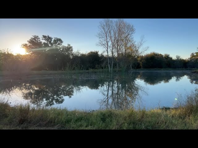 Morning sunrise on our first cold day in Texas!