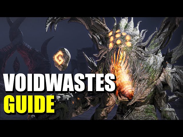 Voidwastes Guide - New 2 Star Dungeon | Throne and Liberty