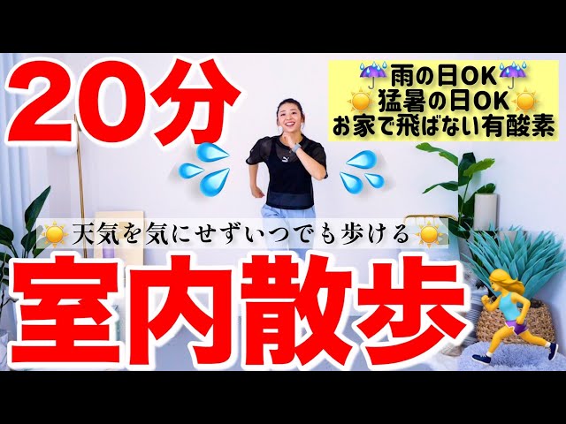 【20分室内散歩】天気に左右されない!! お家でお散歩有酸素で脂肪燃焼!! 生理中や産後にもOK👌