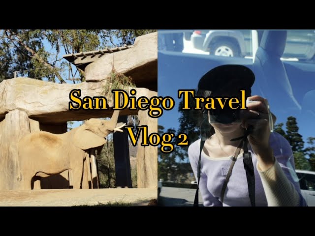 [SUB] 圣地亚哥之旅｜野生动物园里有什么 San Diego Travel Vlog - Old Town, Zoo Safari Park, and more!