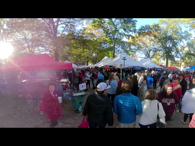 Afternoon in the Grove (Texas AM game)