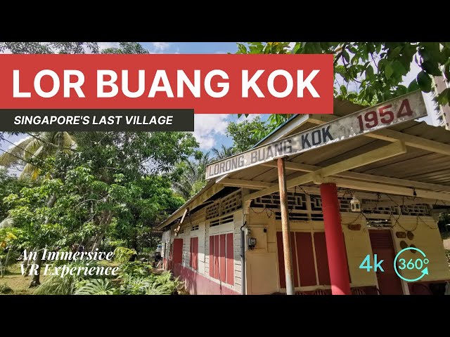 Let's take a walk at Lorong Buang Kok | Singapore's Last Village | 360° VR Experience