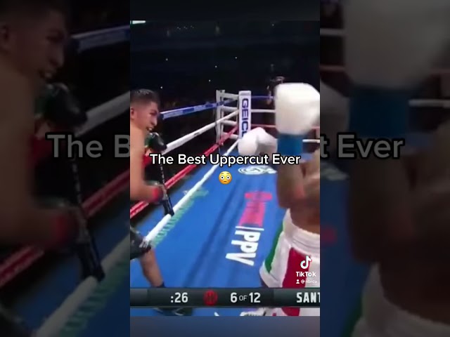 The Best Uppercut of All Time