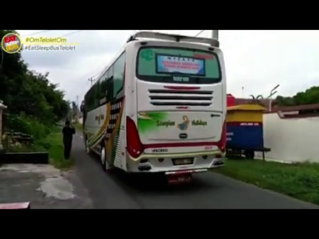 Telolet Cicak-Cicak di Dinding - Telolet Bus Pariwisata ...