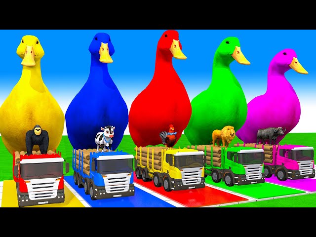 5 Giant Duck Cartoon,Cow,Elephant,Giraffe,Tiger,Lion, Paint Wild Animals Crossing Fountain Animation