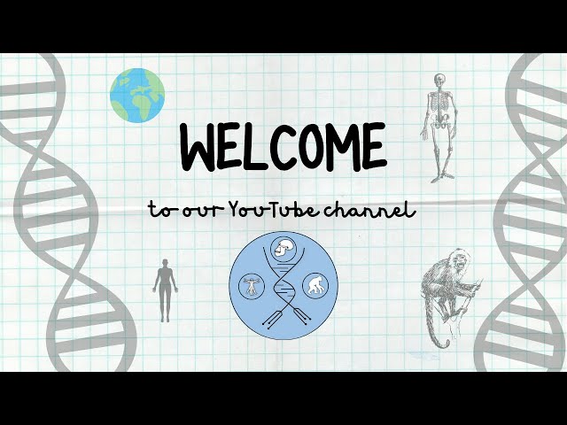 Human evolution: WELCOME to our channel