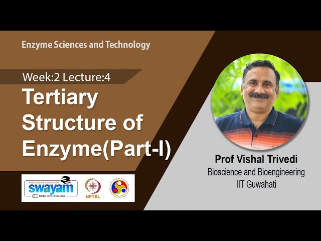 Lec 9: Tertiary Structure of Enzyme(Part-I)