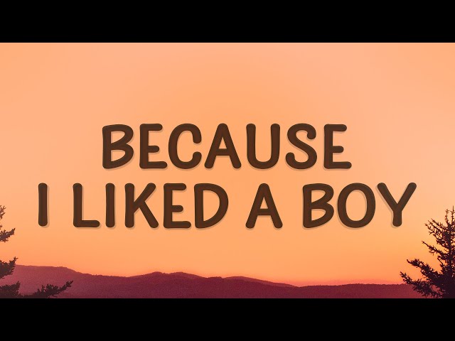 Sabrina Carpenter - because i liked a boy (Lyrics)