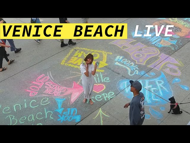 🔴 Venice Beach Live Camera · Los Angeles Live Stream · presented by the Venice V Hotel