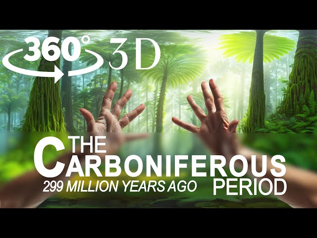 360° Prehistoric Journey: The Carboniferous Period | 360 3D VR Adventure