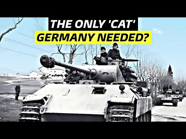 More Panthers Instead of Tigers: Could It Have Been Germany's Best WWII Tank Strategy?