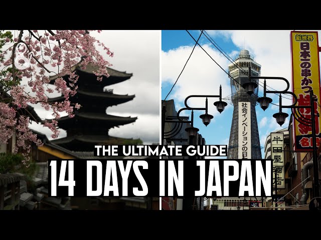 How to Spend 14 Days in JAPAN | The Ultimate Travel Guide with COSTS