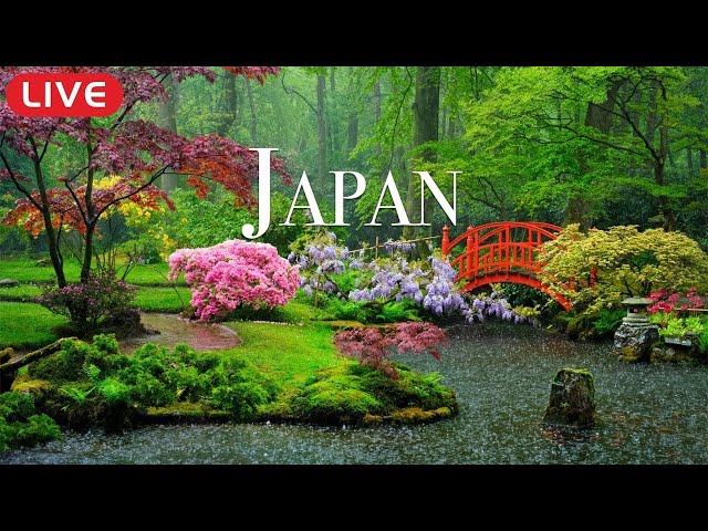 🔴 Relaxing Piano Music “Dreams of Japan” for Studying, Spa, Coffee, Work, Sleeping