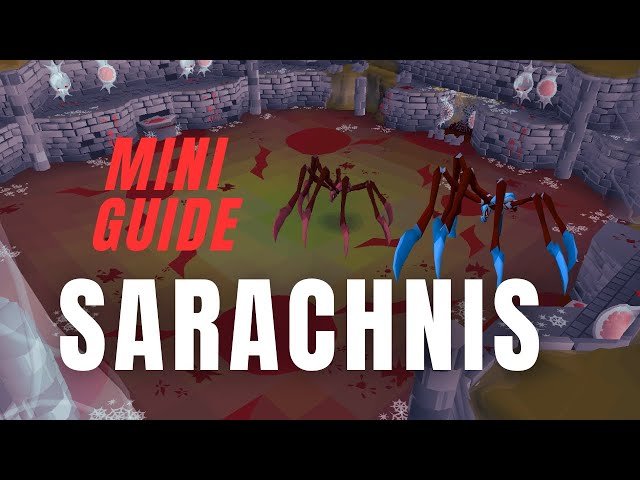 OSRS Sarachnis Spider Boss Mini Guide - All You Must Know in 2 Minutes