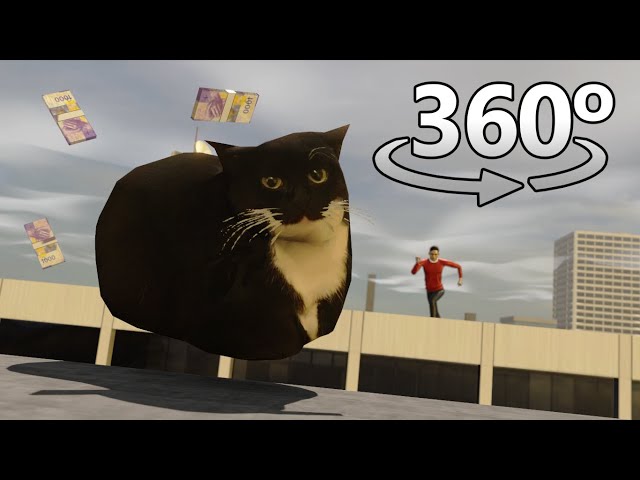 PARKOUR With Maxwell The Cat in 360° VR/4K