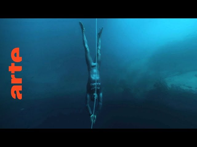 Dolphin Man (Folge 2) – Search | 360° Video | ARTE