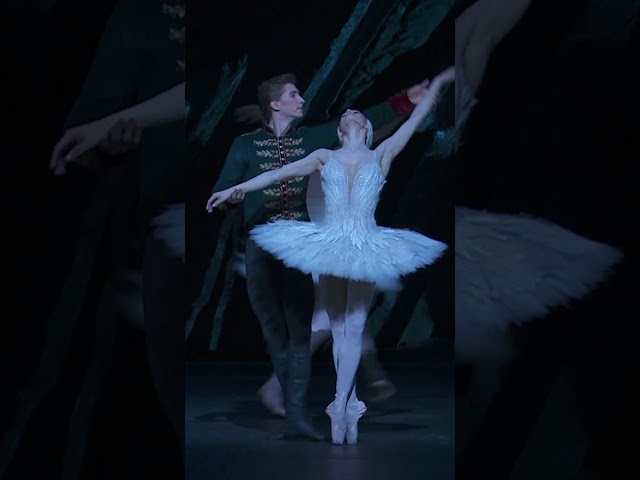 Swan Lake – End of Act II (The Royal Ballet) #shorts #RoyalOperaHouse