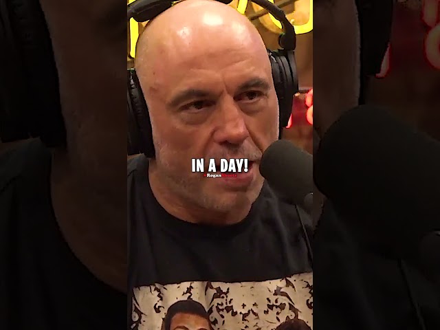 Joe Rogan EMBARRASSES CNN