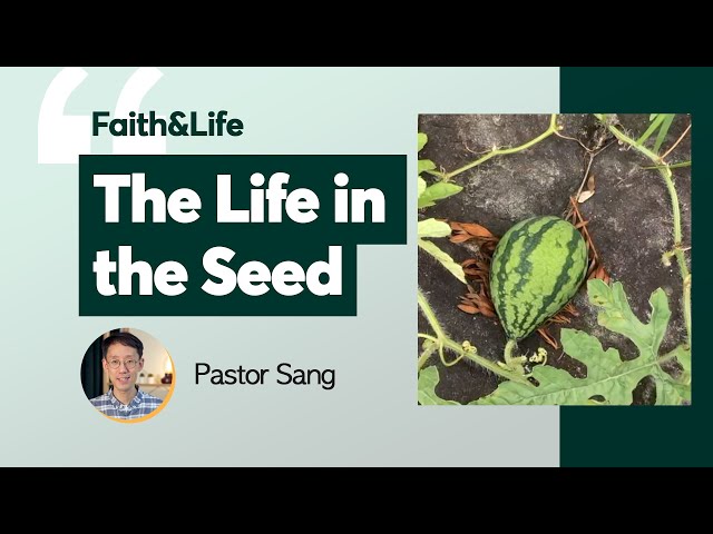 The Life in the Seed | Faith and Life (Midweek Devotional)