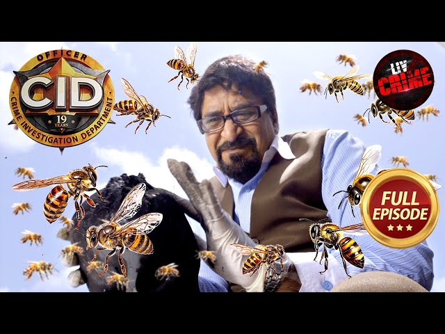 एक Honey Bee बनी CID ​​का Important Clue | CID | सी.आई.डी. | Latest Episode | 15 Nov 2024