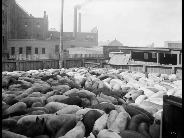 Meat packing industry | Wikipedia audio article