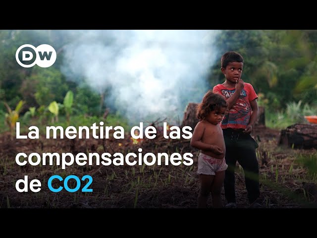 De la reforestación a la compensación de CO2: los sucios trucos de las empresas | DW Documental