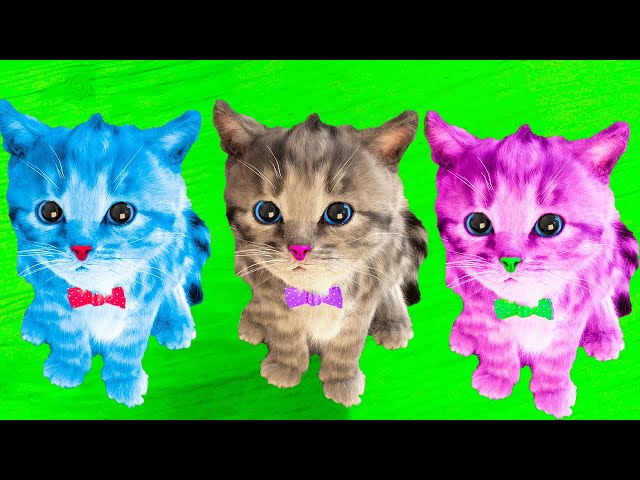 SUPER LITTLE KITTEN ADVENTURE - FUN PLAYFUL KITTEN AND CUTE CARTOON ANIMATION