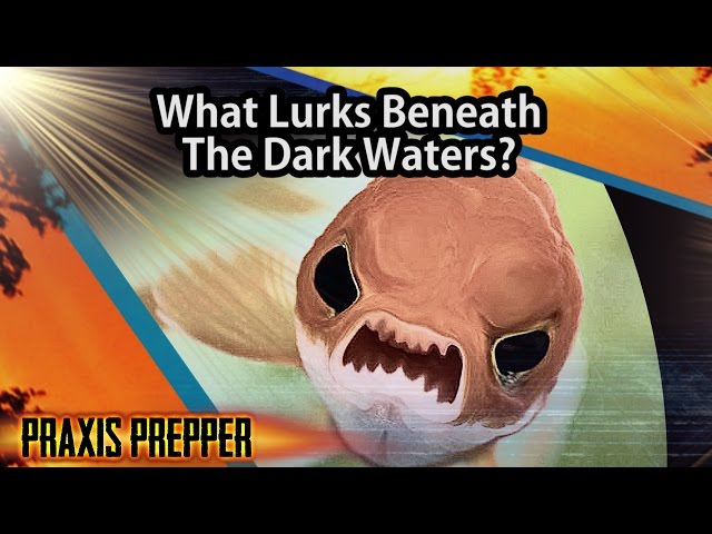 What Lurks Beneath the Dark Waters