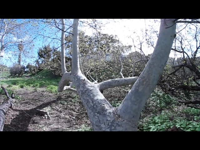 Malibu Landscapes shot with  Gear360