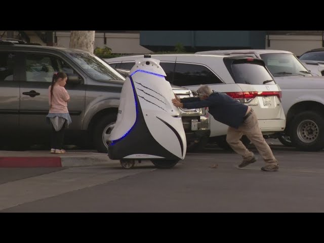 Security robot: Saving the day or causing chaos?