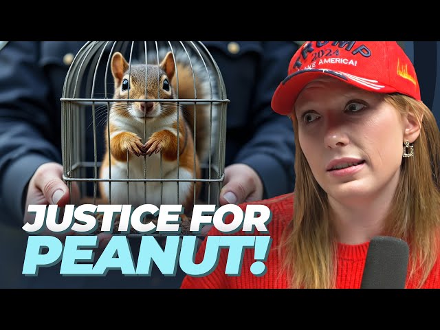 The Tragic Fate of Peanut: A TikTok Squirrel's Untimely End | Pearl Daily