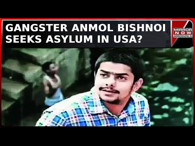 Fugitive Gangster Anmol Bishnoi Sought Asylum In USA To Avoid Deportation To India | Crime News