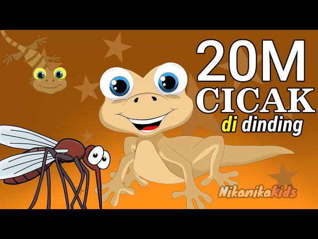 Cicak di dinding 20 menit - kumpulan lagu cicak cicak di dinding