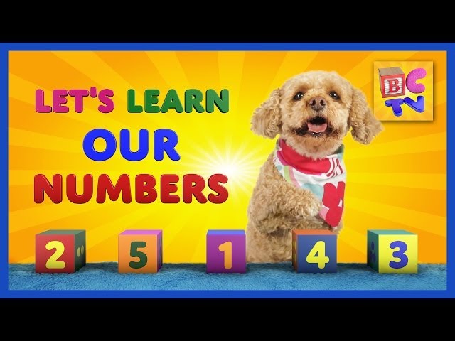 Learn Numbers with Lizzy the Dog | Teach children to count to 10 in English