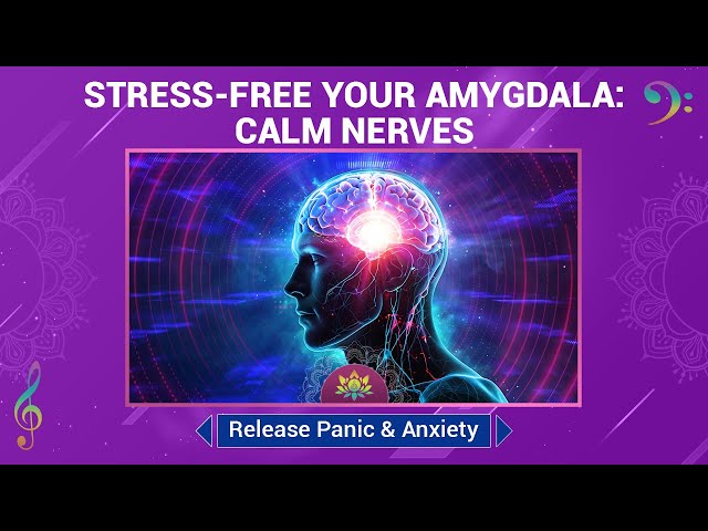 Stress-Free Your Amygdala: Calm Nerves - Release Panic & Anxiety - Amygdala Soothing Music