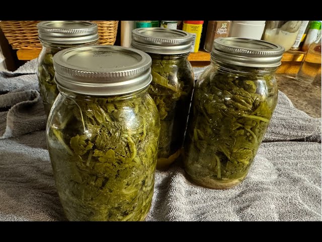 Turnip Greens - Cooking and Canning