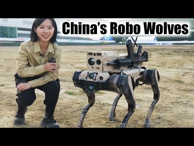 China's Army of Attack Robot Wolves