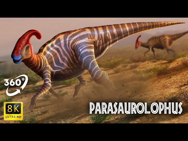 VR Jurassic Encyclopedia #21 - Parasaurolophus dinosaur facts  360 Education