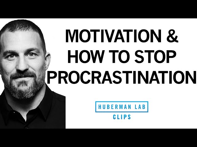 How to Stop Procrastination & Increase Motivation | Dr. Andrew Huberman