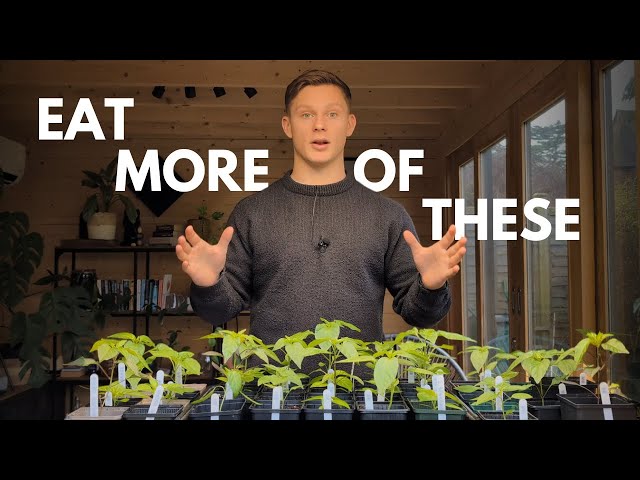 Polyphenols | The Power Of Purple | Gut Health, Inflammation & Disease | GROW YOUR GUT EP2