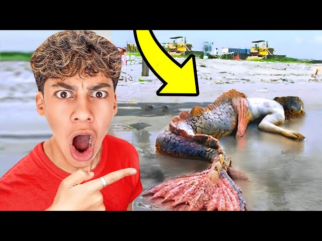 6 YouTubers Who CAUGHT MERMAIDS On CAMERA! (The Royalty Family, Salish Matter, Ferran)