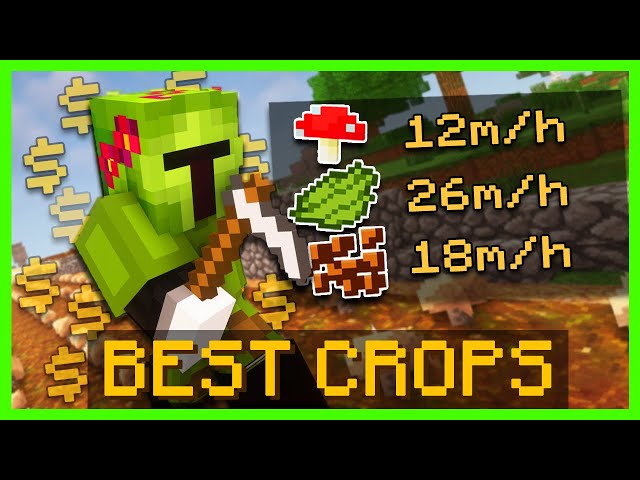 The Best Crops To Farm | Hypixel Skyblock