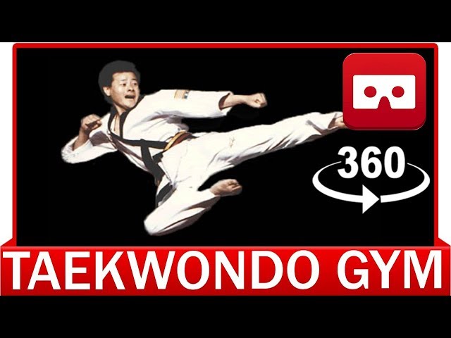 360° VR VIDEO - Best Taekwondo Martial Art - VIRTUAL REALITY 3D