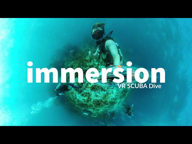 🌐 Swim like Aquaman - VR SCUBA Dive in La Mancha Reef