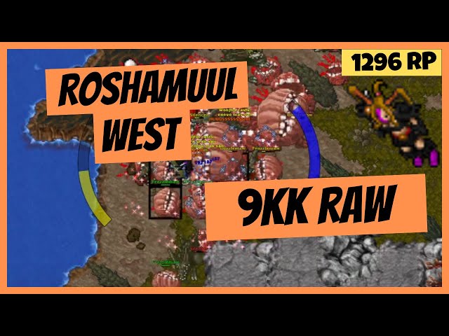 Roshamuul West - 9kk raw (100%) + 1.9kk profit - RP 1269 Solo Hunt Tibia