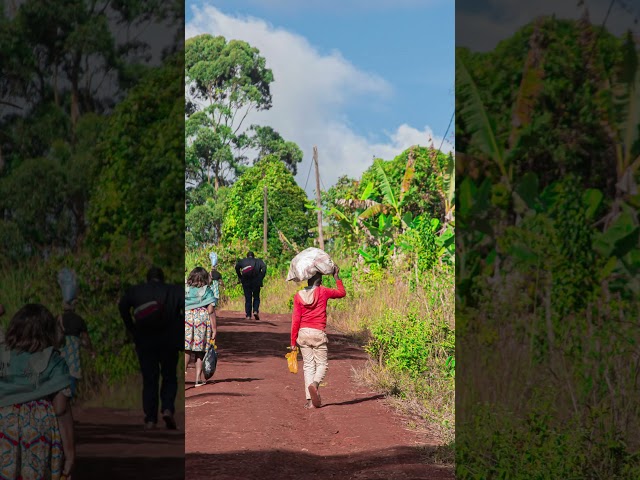 Mysterious DNA in South Carolina man leads to discovery of new Human Species alive in Cameroon.