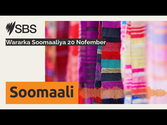 Wararka Soomaaliya 20 Nofember | SBS Somali - SBS Afsomali